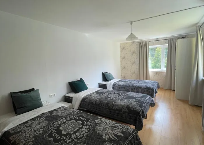 Mihkli Majutus * Rootsikula (Parnu)